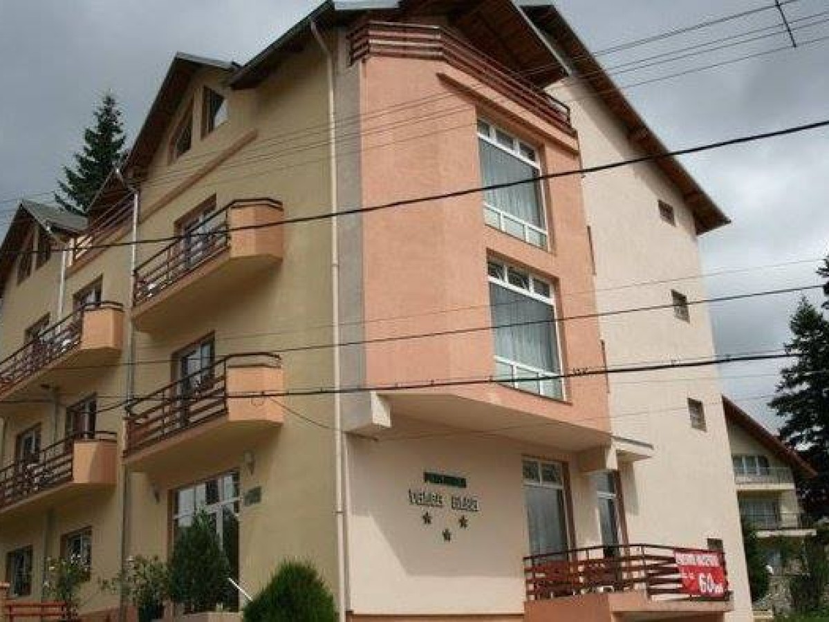 Alloggio Pensiunea Valea Albă