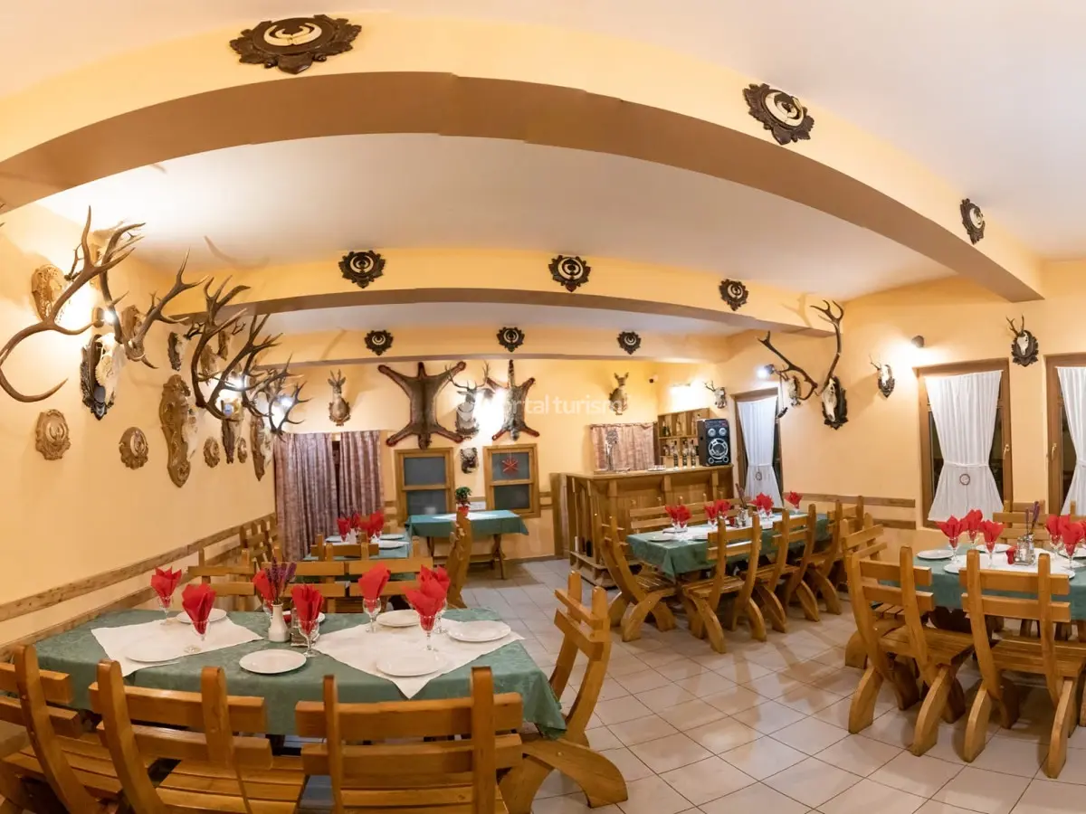 Pensiunea Vânătorul