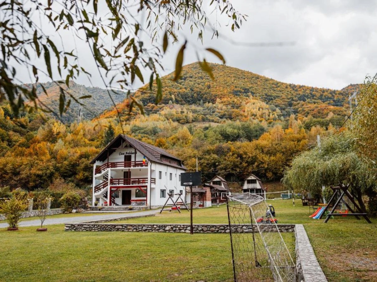 Accommodation Casa Ardeleană