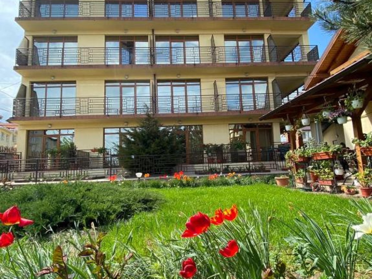 Alojamiento Villa Pescaruș