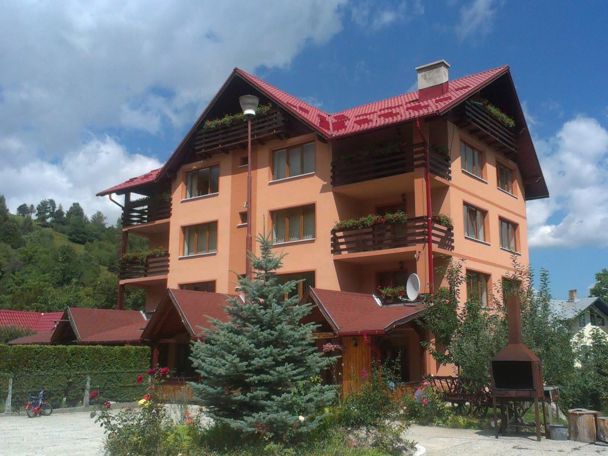 Unterkunft Pensiunea Martin