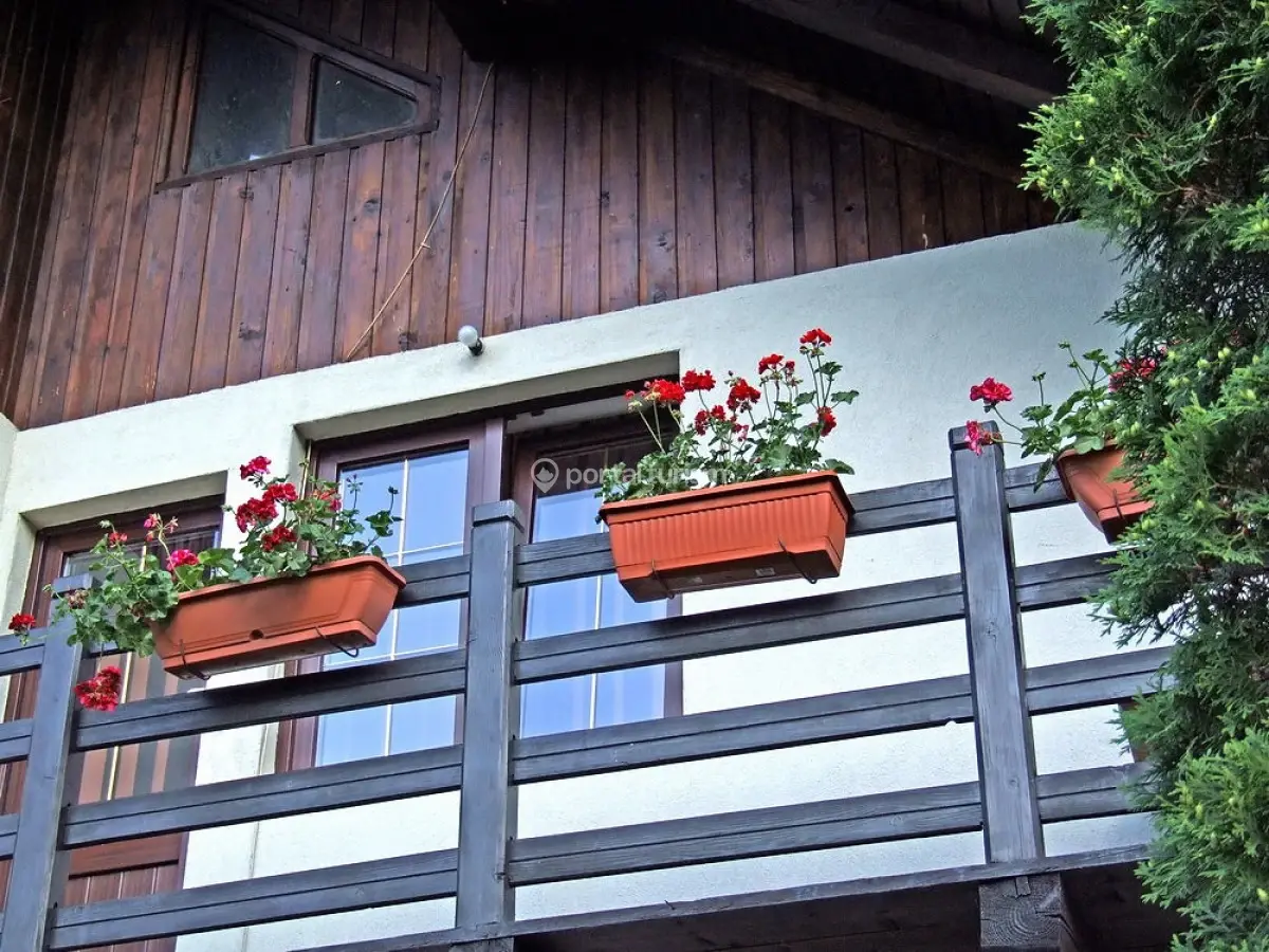 Pensiunea Moeciu - Bucegi