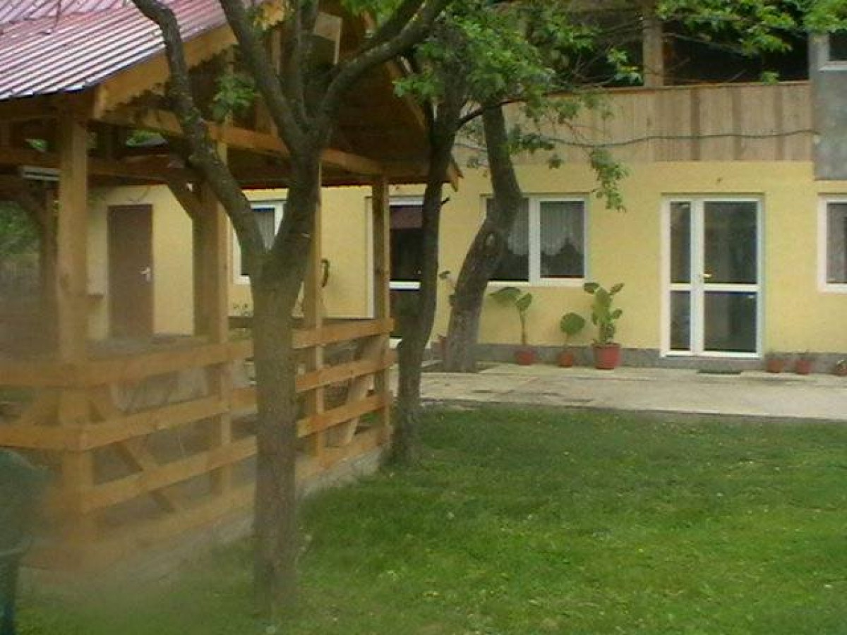 Cazare Pensiunea Casa Codescu