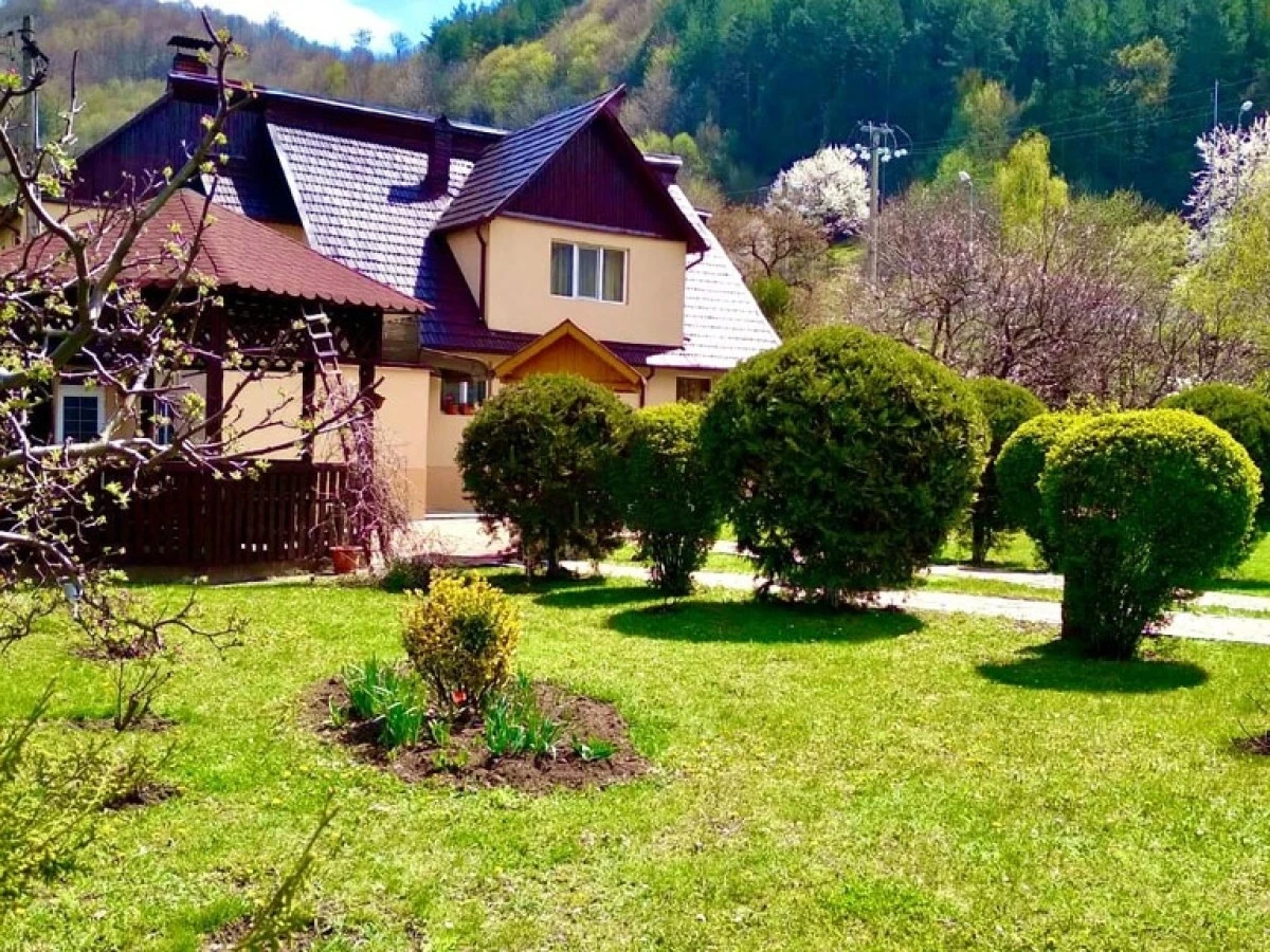 Hébergement Pensiunea Elena