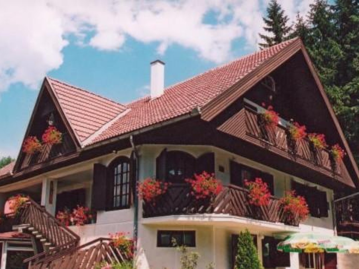 Cazare Pensiunea Mușcata