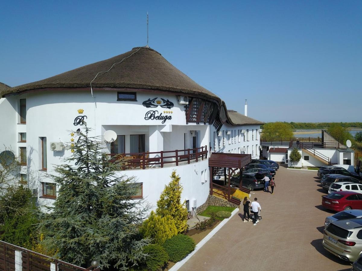 Alloggio Pensiunea Beluga