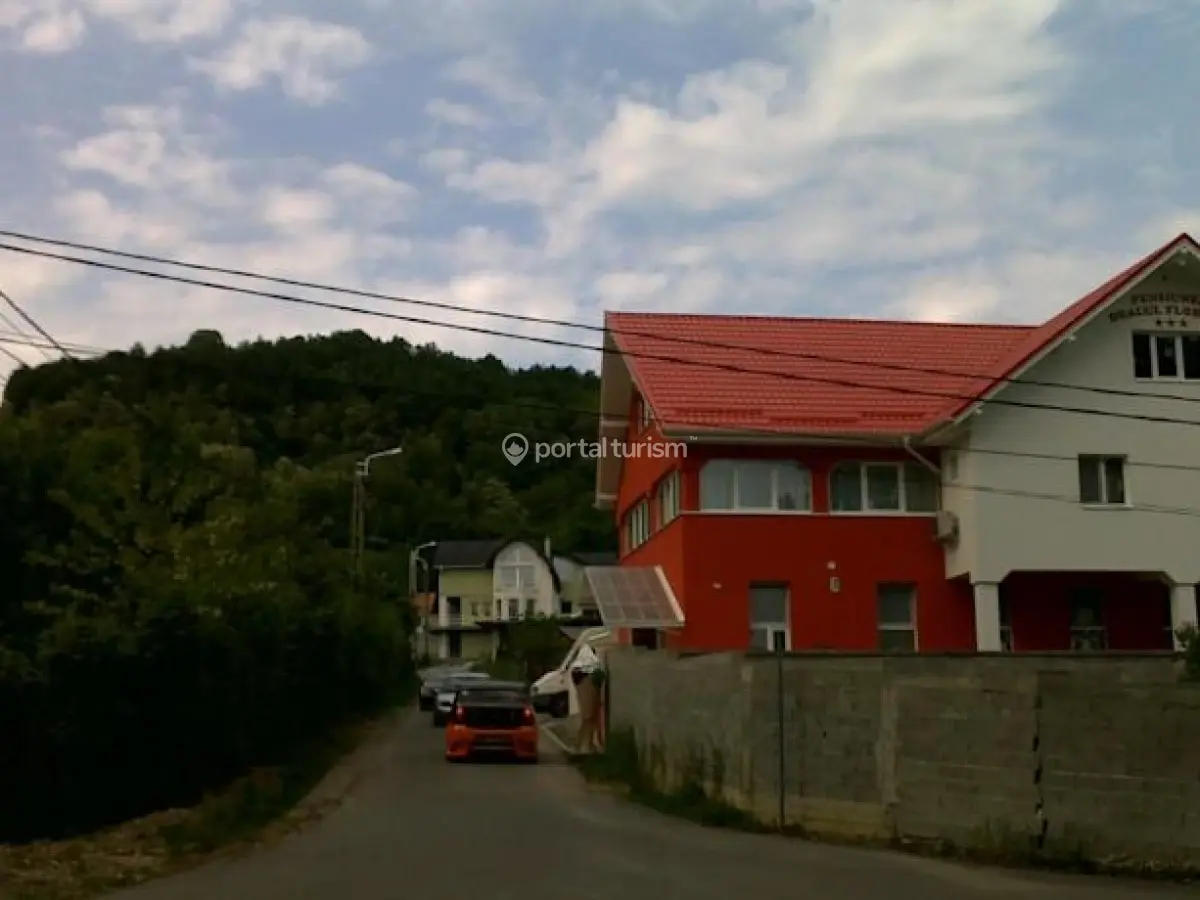 Pensiunea Dealul Florilor