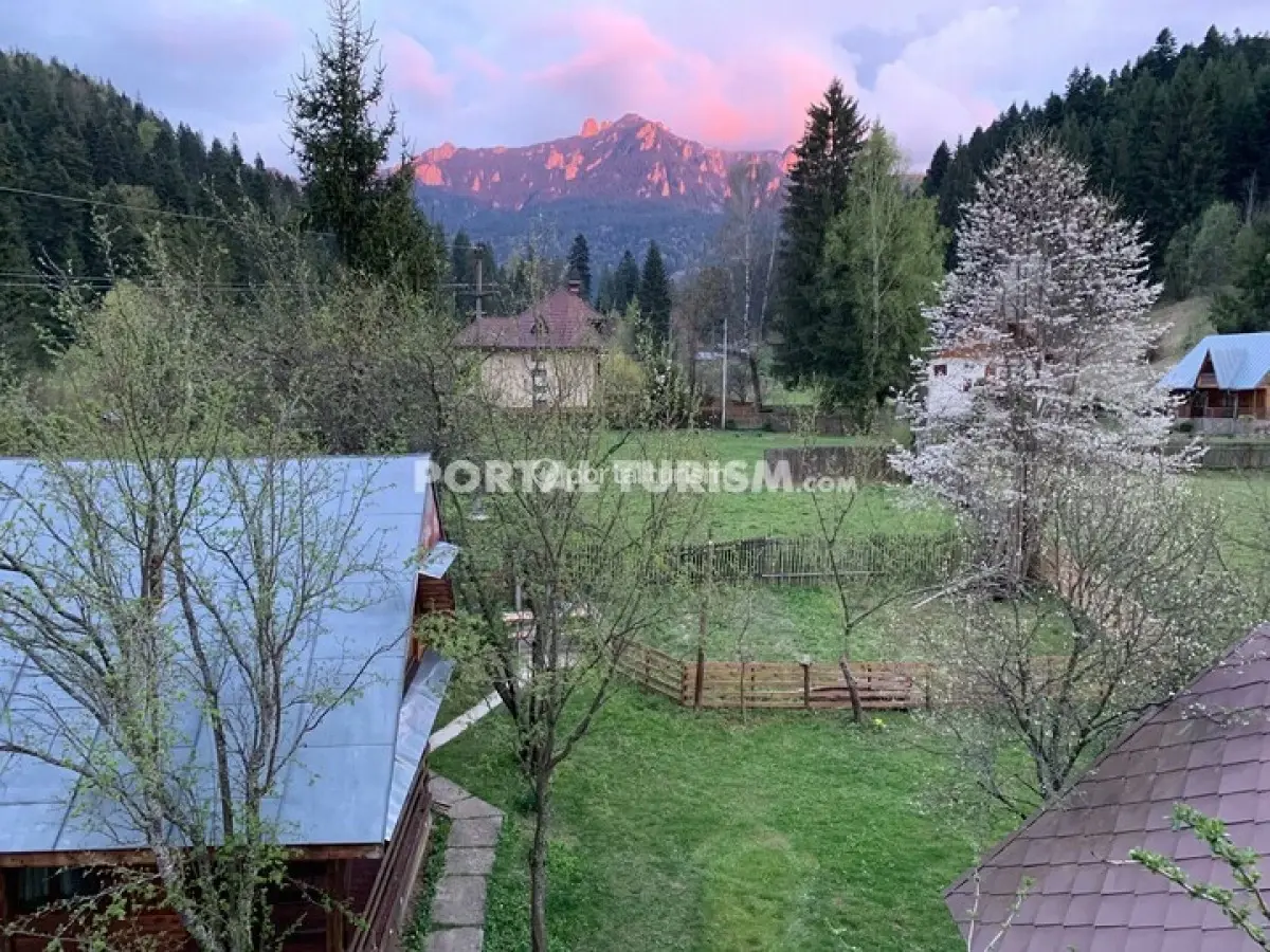 Camere de închiriat Radu