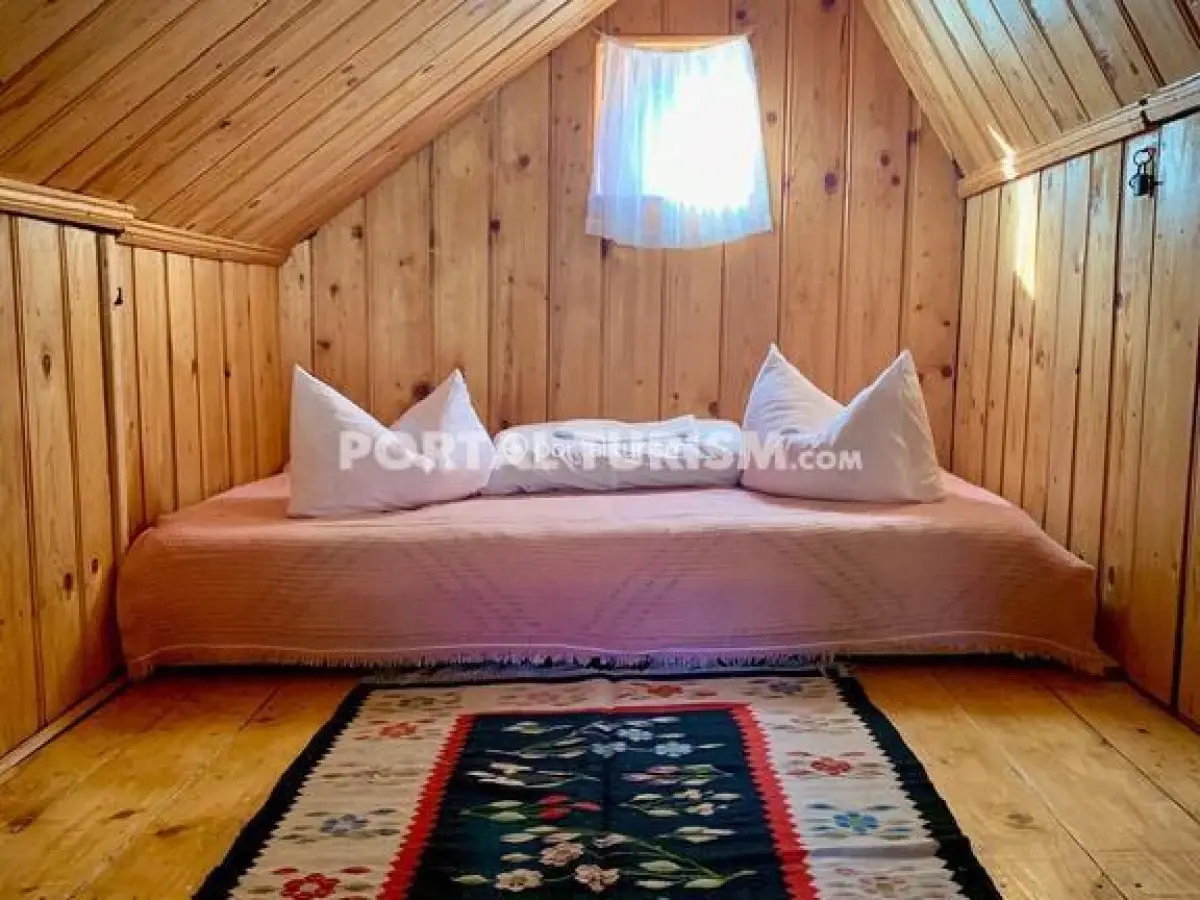 Camere de închiriat Radu