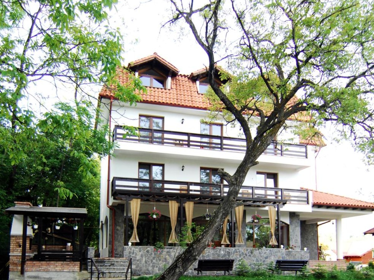 Unterkunft Pensiunea Moisa