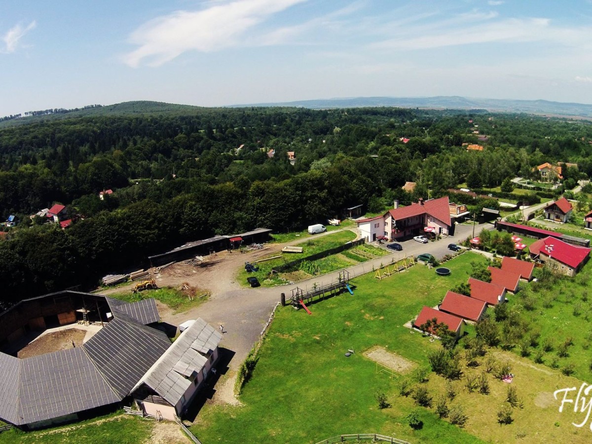 Szállás Complex turistic Brândușa