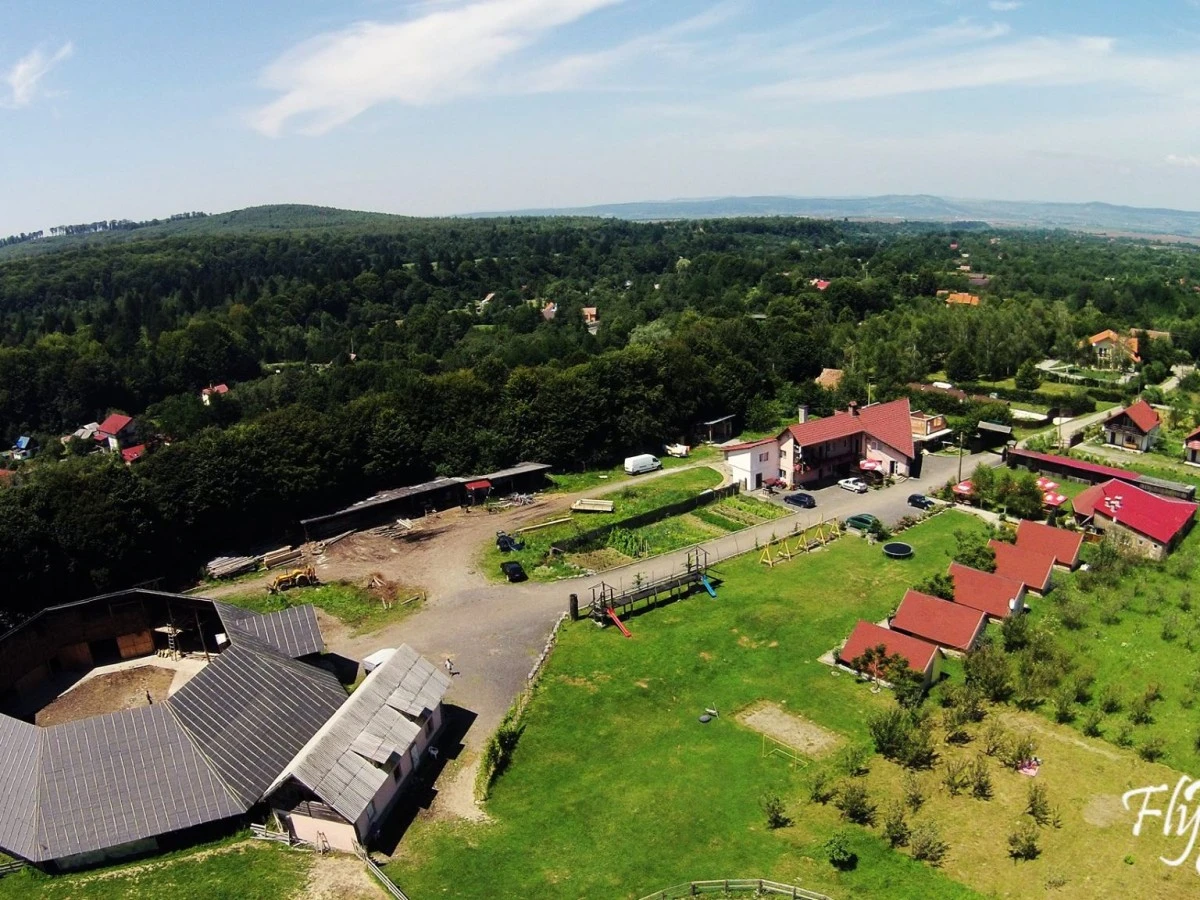 Unterkunft Complex turistic Brândușa