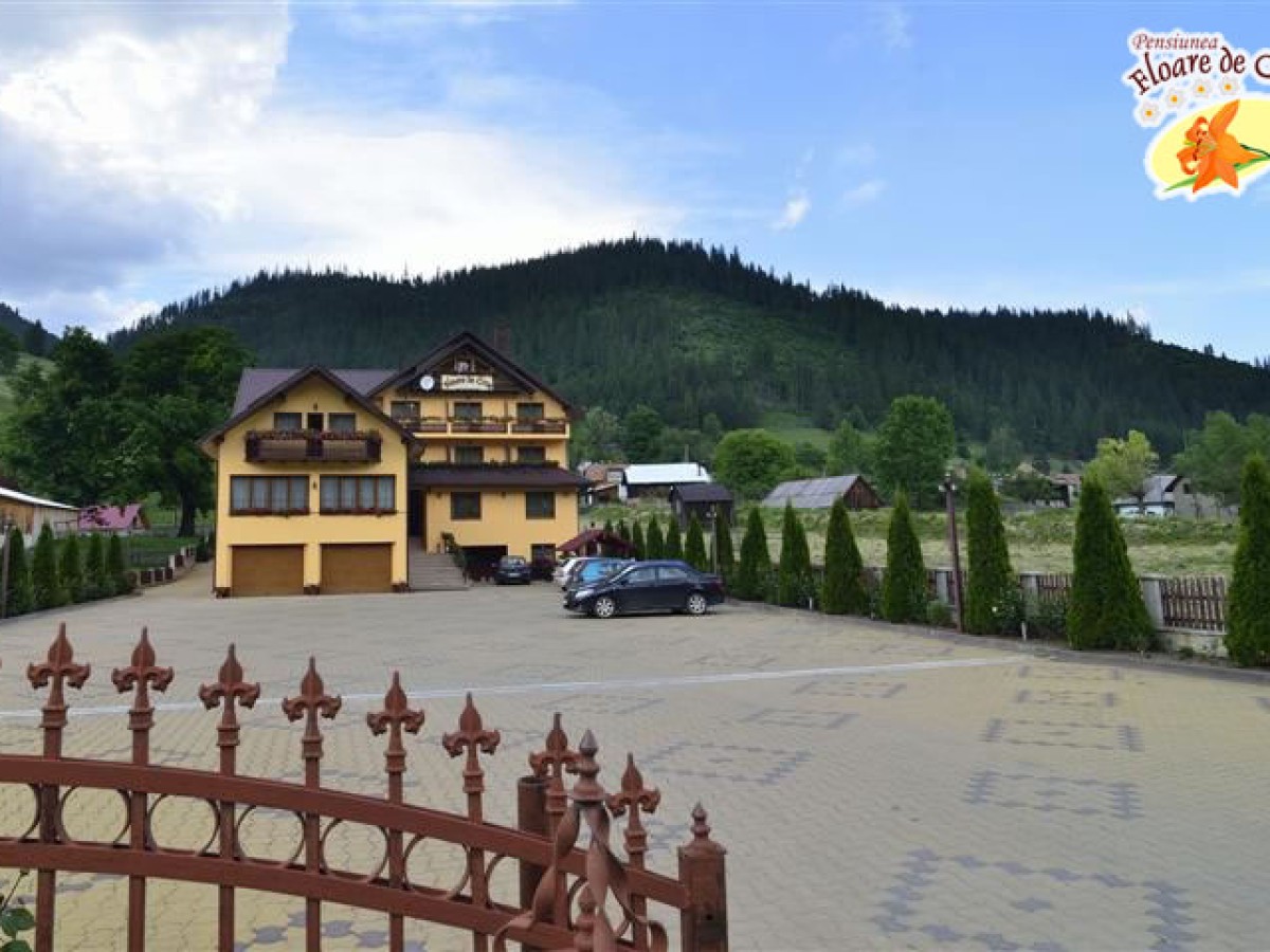 Accommodation Pensiunea Floare de Crin