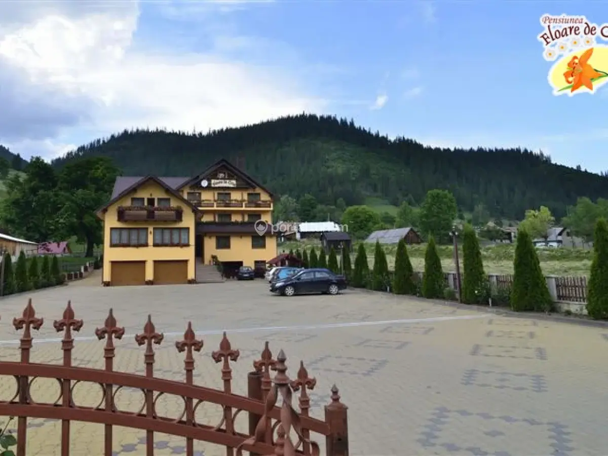 Pensiunea Floare de Crin