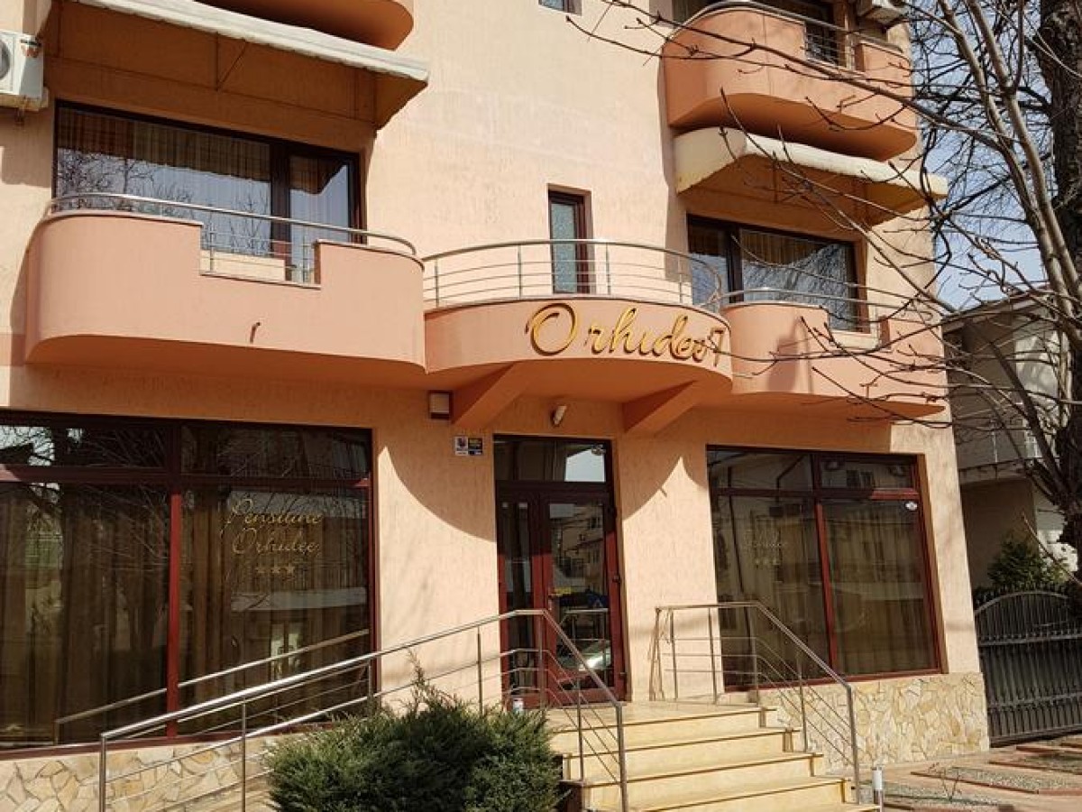 Alloggio Casa Orhidee