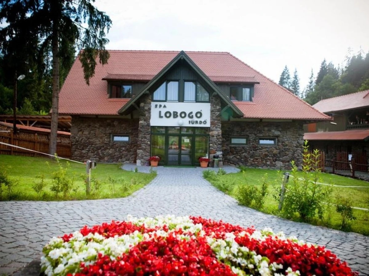 Hébergement Pensiunea Lobogo