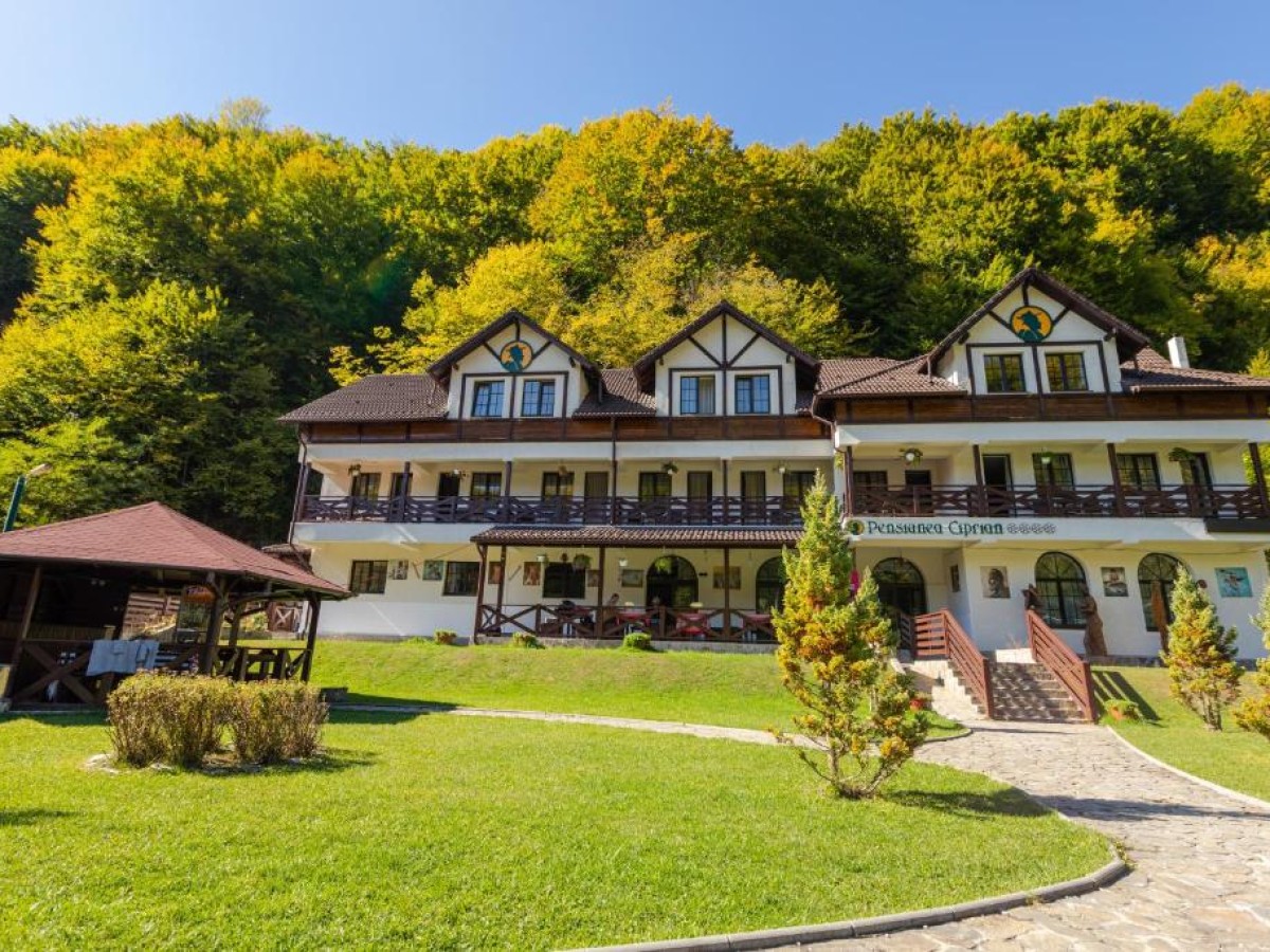 Cazare Pensiunea Ciprian