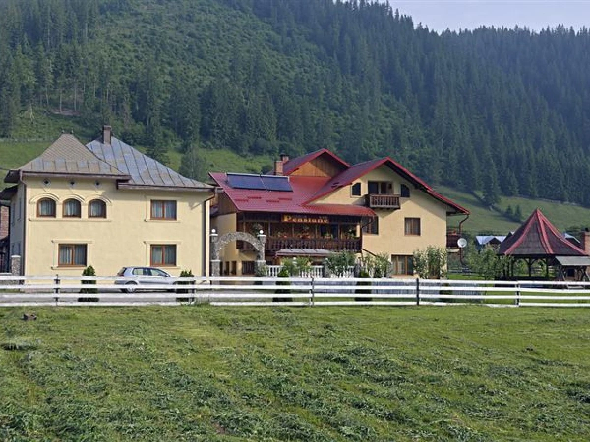 Hébergement Pensiunea Dor de Codru