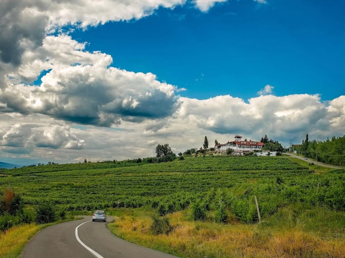 Alojamiento Complex Turistic Casa Seciu