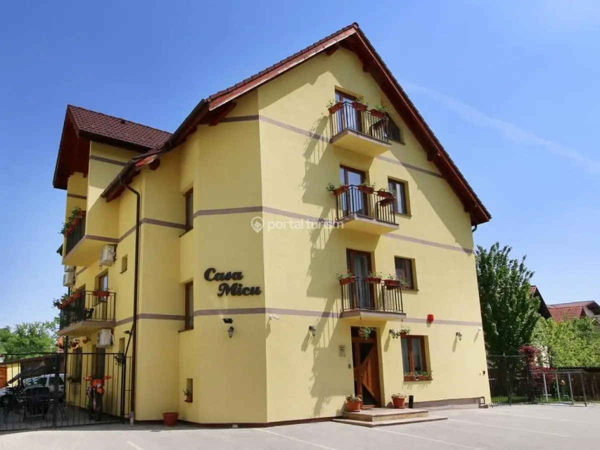Casa Micu