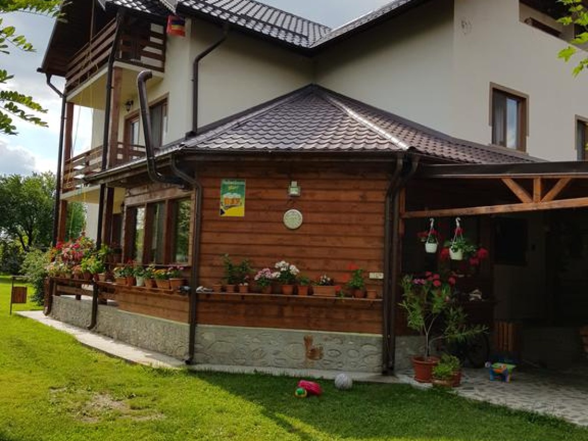 Cazare Casa de vacanță Macovei