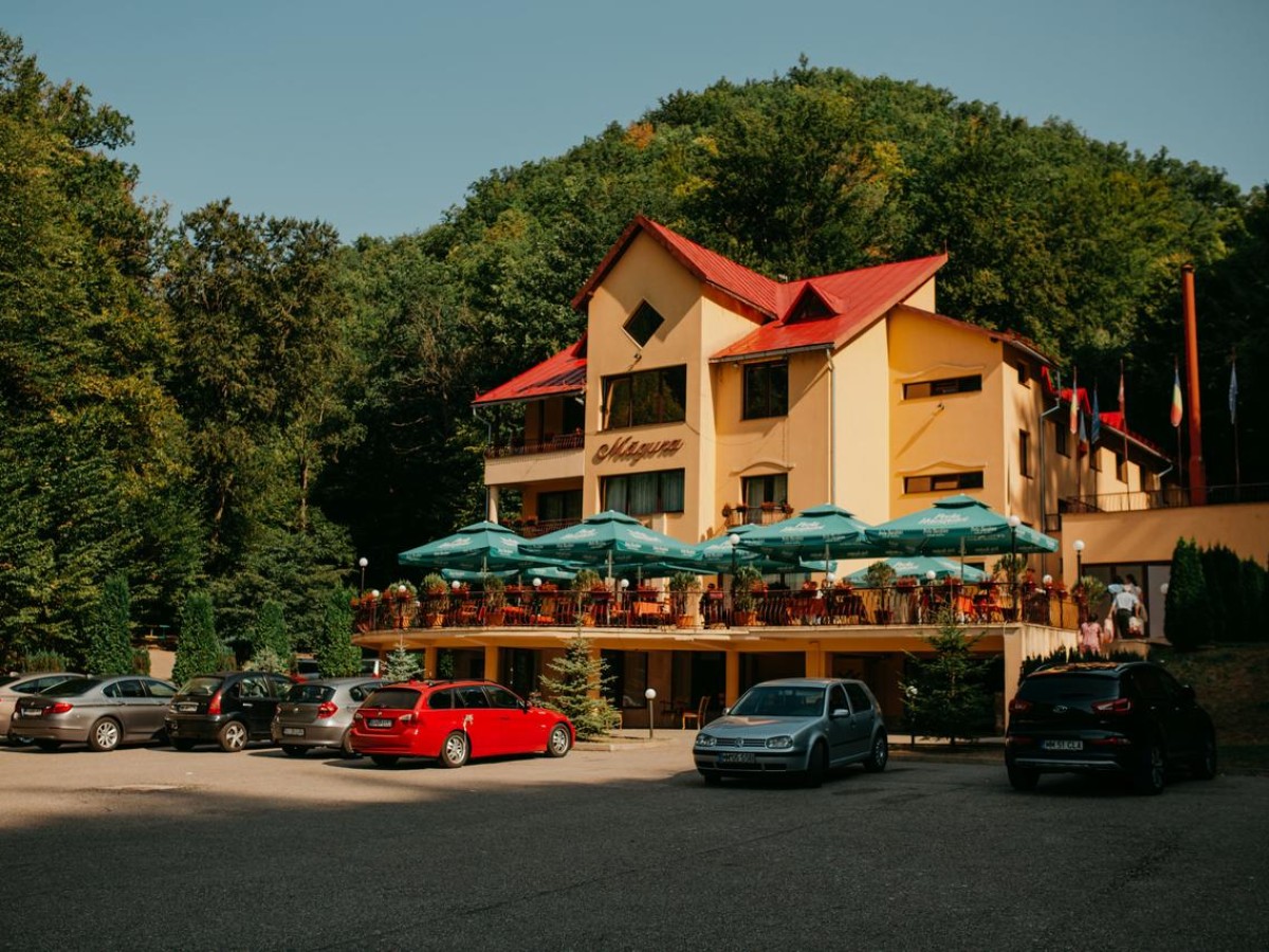 Accommodation Pensiunea Măgura