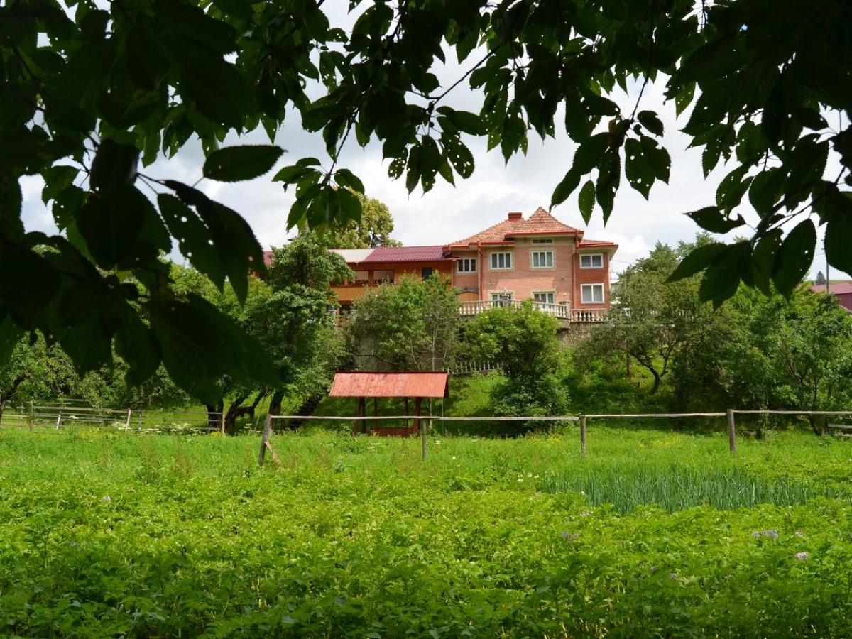 Cazare Pensiunea Alex