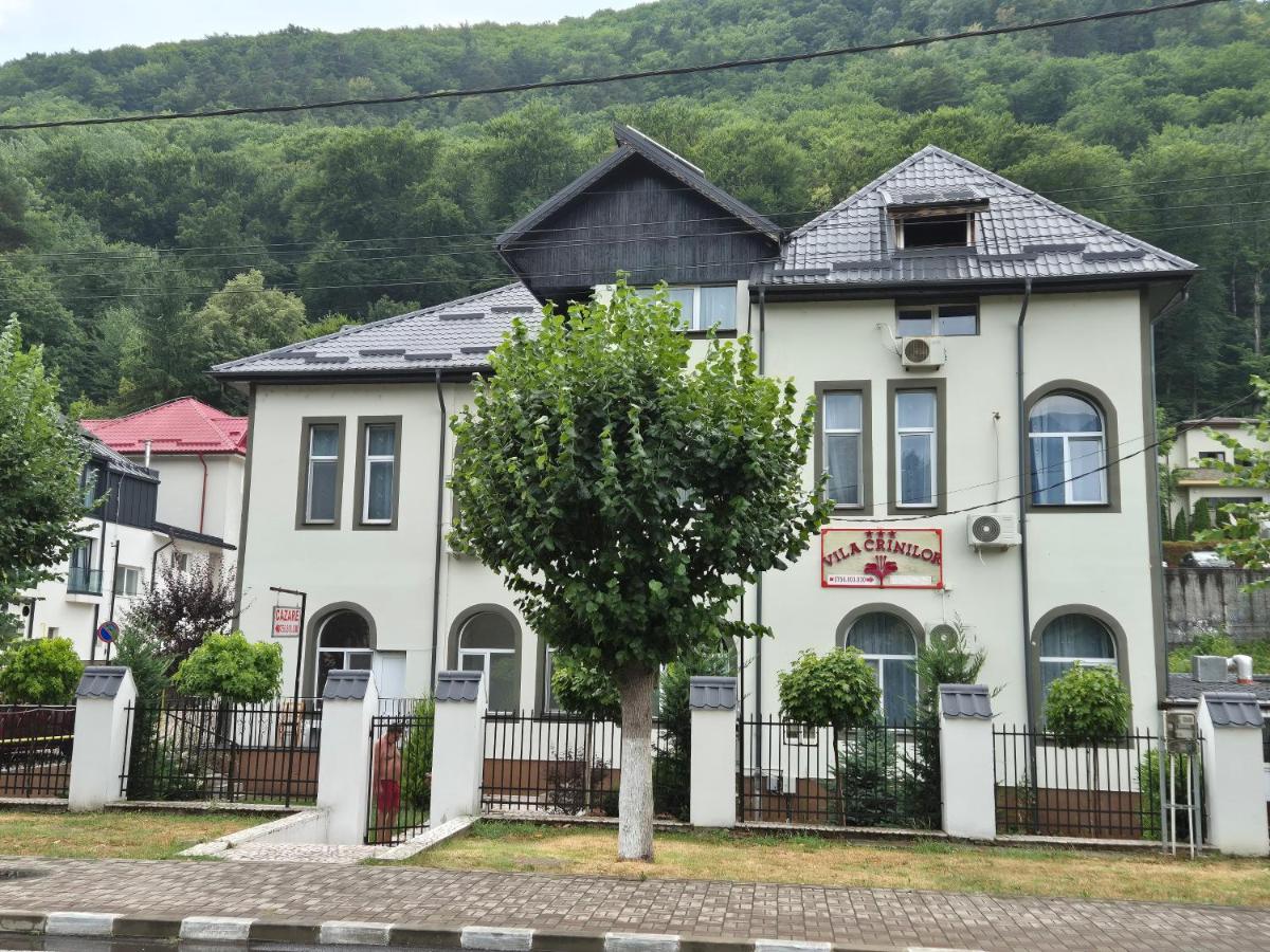 Szállás Vila Crinilor