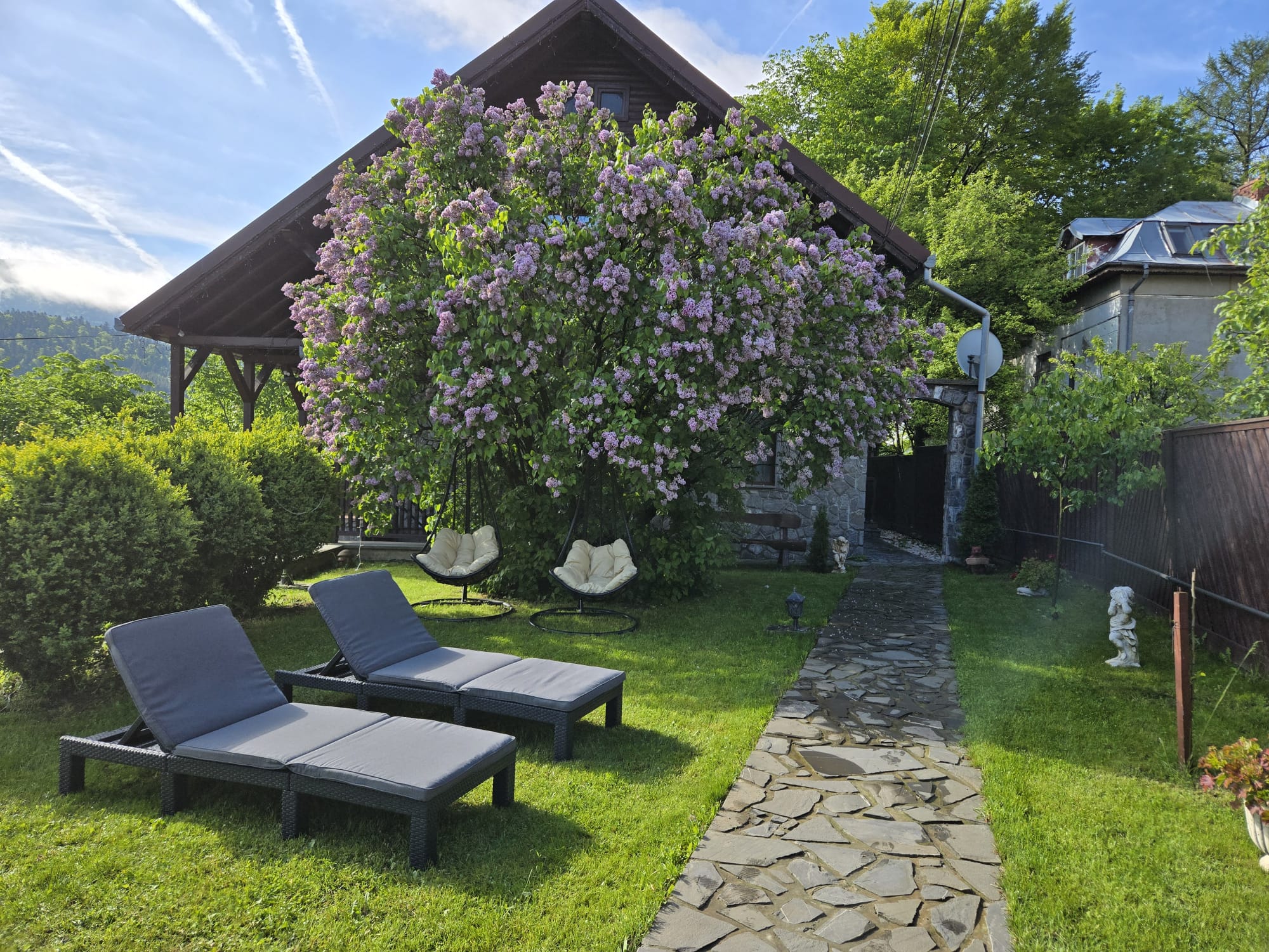 Cazare Vila Drumul Domnișorilor