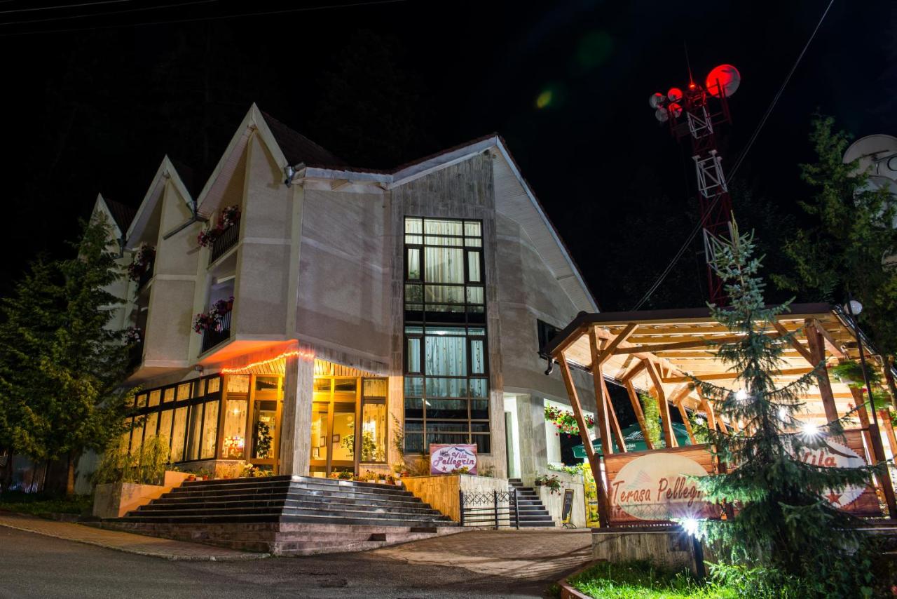 Hébergement Vila Pellegrin